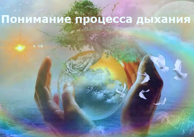 Понимание процесса дыхания